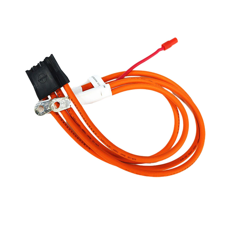 Stromkabel-Versammlungen Ev 25mm, Energie-AkkumulatorNetzanschlusskabel Soem